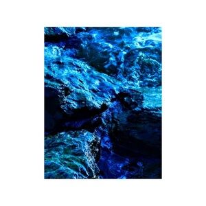 Professional Photography Print